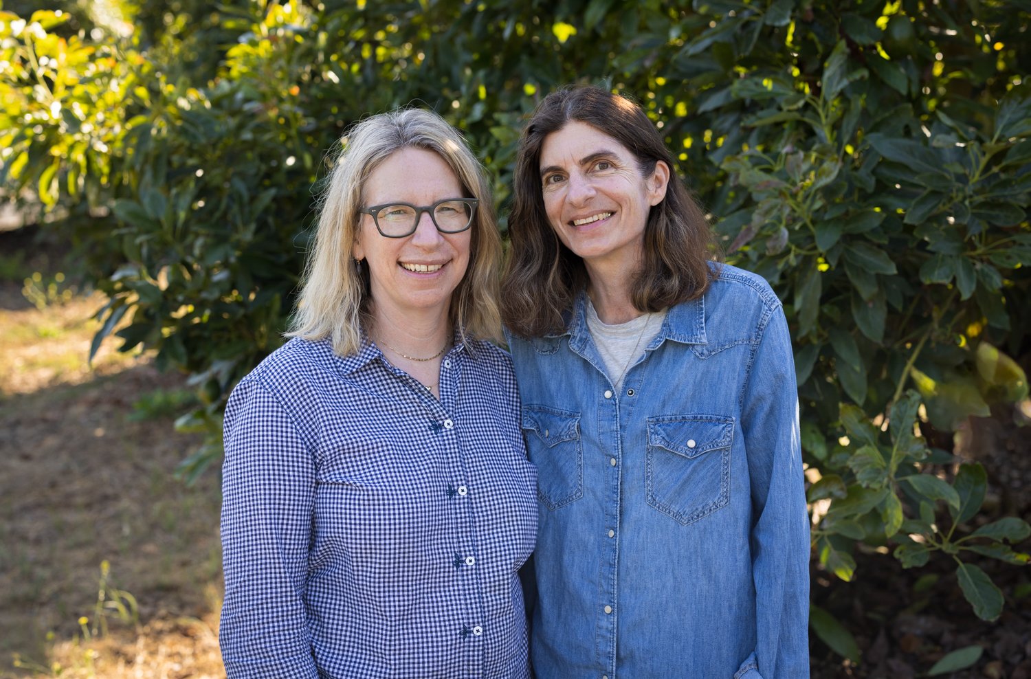 avocado-authors
